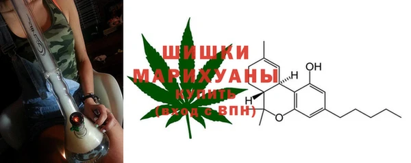 гашик Пересвет