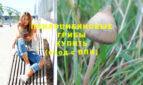 spice Белоозёрский