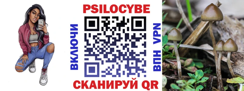 Псилоцибиновые грибы Psilocybine cubensis  Новоузенск 